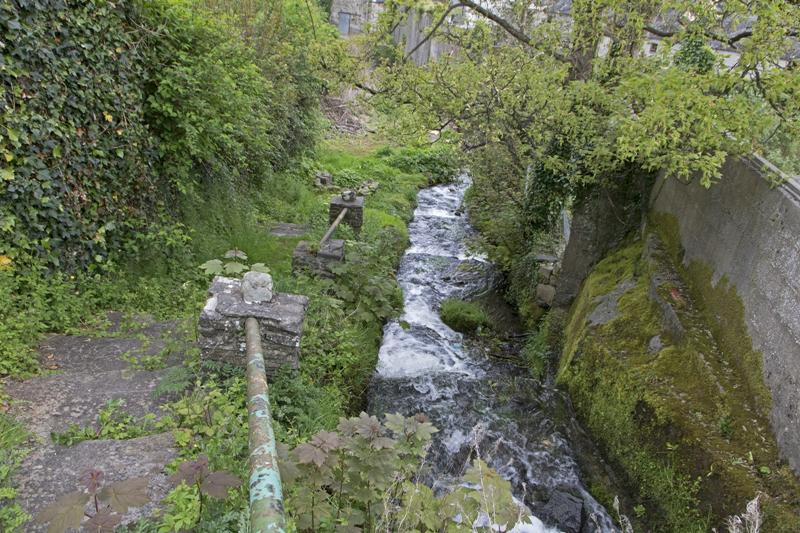 Cjp_2017-04-22_145916.jpg