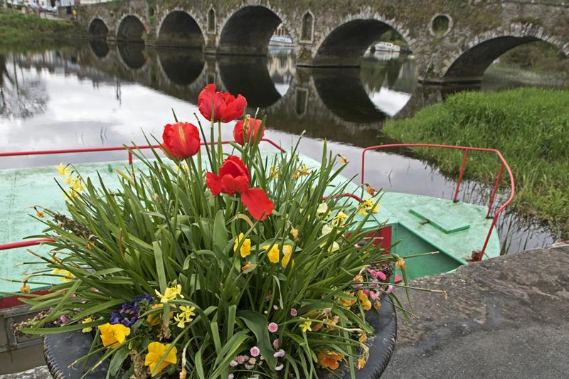 Cjp_2017-04-22_150822.jpg