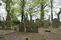 Cjp_2017-04-22_120356.jpg