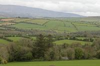 Cjp_2017-04-22_130418.jpg
