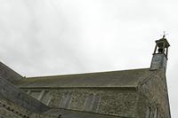 Cjp_2017-04-22_132946.jpg