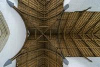 Cjp_2017-04-22_133458.jpg