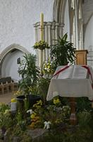 Cjp_2017-04-22_134726.jpg