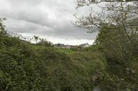 Cjp_2017-04-22_145328.jpg