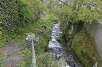 Cjp_2017-04-22_145916.jpg