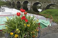 Cjp_2017-04-22_150822.jpg