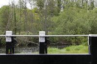 Cjp_2017-04-22_153524.jpg