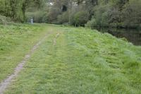 Cjp_2017-04-22_154124.jpg