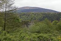 Cjp_2017-04-22_155448.jpg