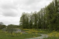 Cjp_2017-04-22_155516.jpg