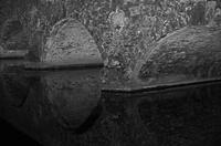 Cjp_2017-04-22_203636_NB.jpg