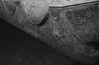 Cjp_2017-04-22_203658_NB.jpg