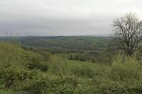 Cjp_2017-04-23_061602.jpg
