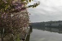 Cjp_2017-04-23_070920.jpg