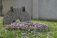 Cjp_2017-04-23_072542.jpg
