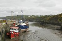 Cjp_2017-04-23_092432.jpg