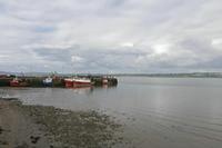 Cjp_2017-04-23_092534.jpg