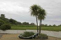 Cjp_2017-04-23_115930.jpg