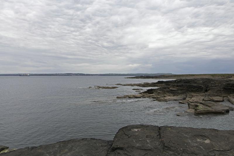 Cjp_2017-04-23_130024.jpg