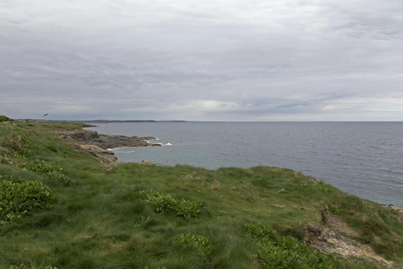Cjp_2017-04-23_133416.jpg