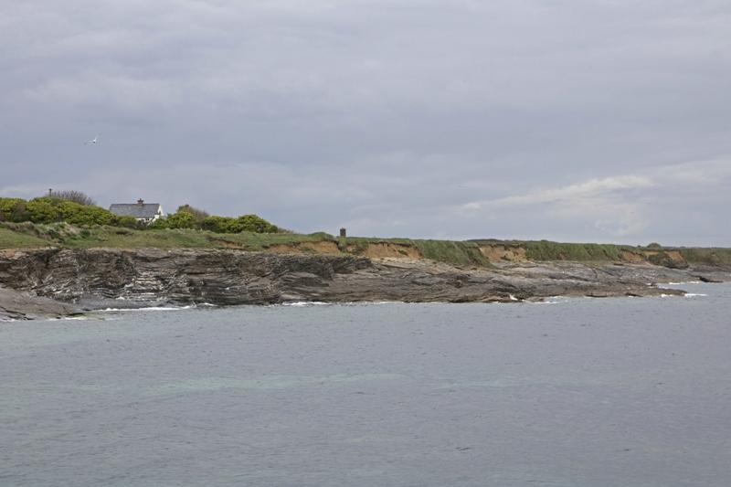 Cjp_2017-04-23_133750.jpg