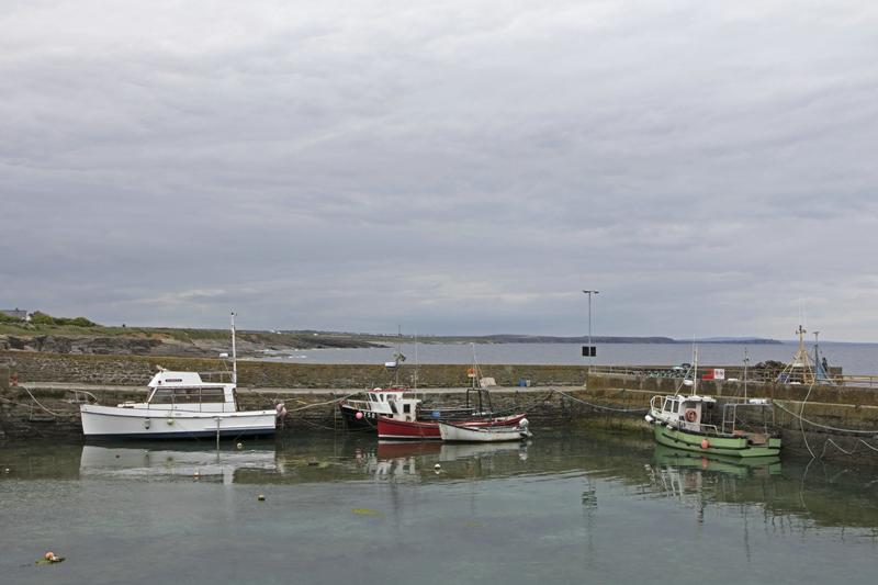 Cjp_2017-04-23_134034.jpg
