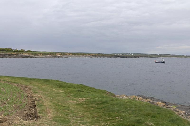 Cjp_2017-04-23_134814.jpg