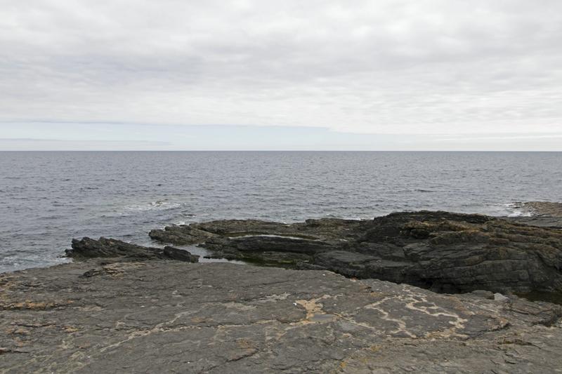 Cjp_2017-04-23_134956.jpg