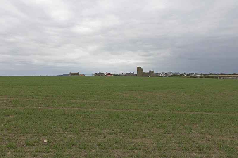 Cjp_2017-04-23_135010.jpg