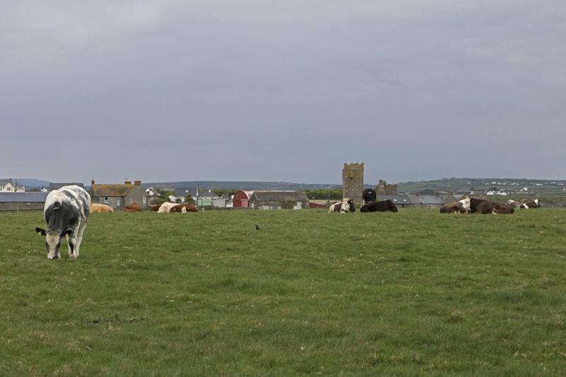 Cjp_2017-04-23_135612.jpg
