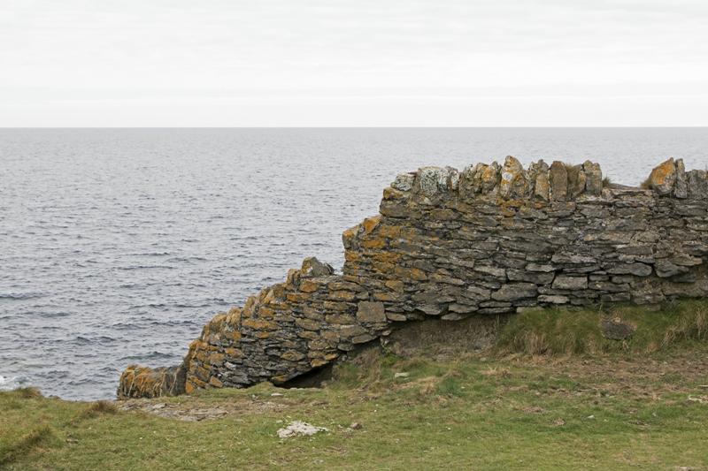 Cjp_2017-04-23_140200.jpg