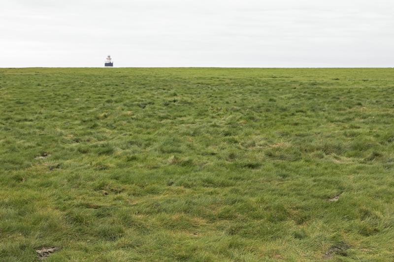 Cjp_2017-04-23_140824.jpg