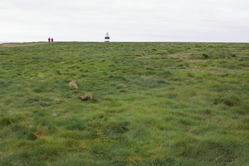 Cjp_2017-04-23_141152.jpg