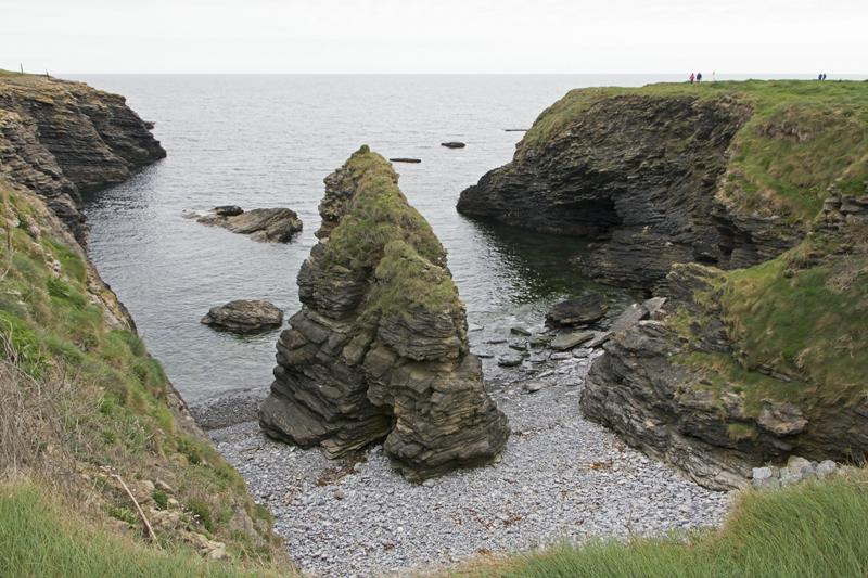 Cjp_2017-04-23_142118.jpg