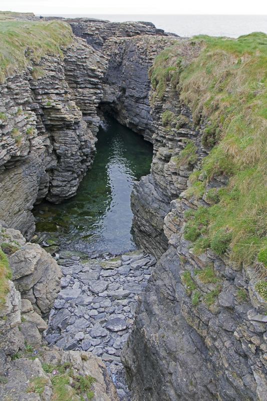 Cjp_2017-04-23_143046.jpg