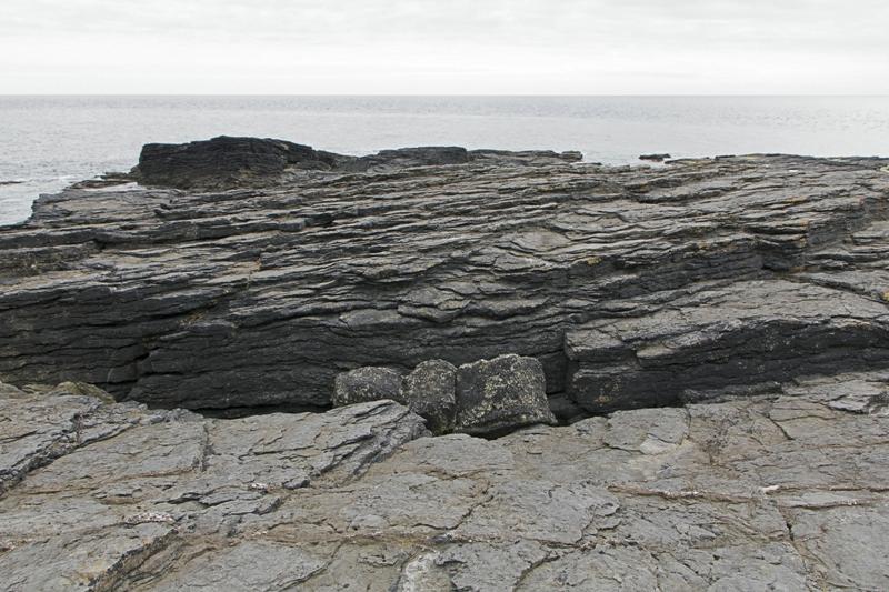 Cjp_2017-04-23_143304.jpg