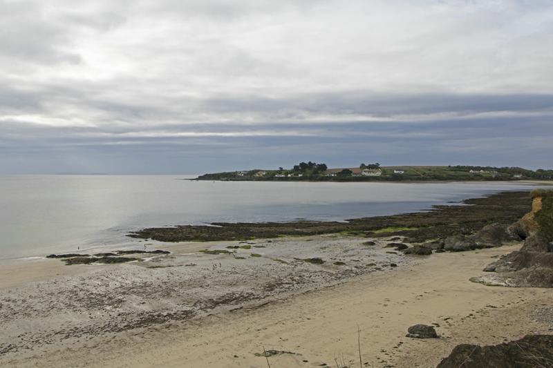 Cjp_2017-04-24_073302.jpg