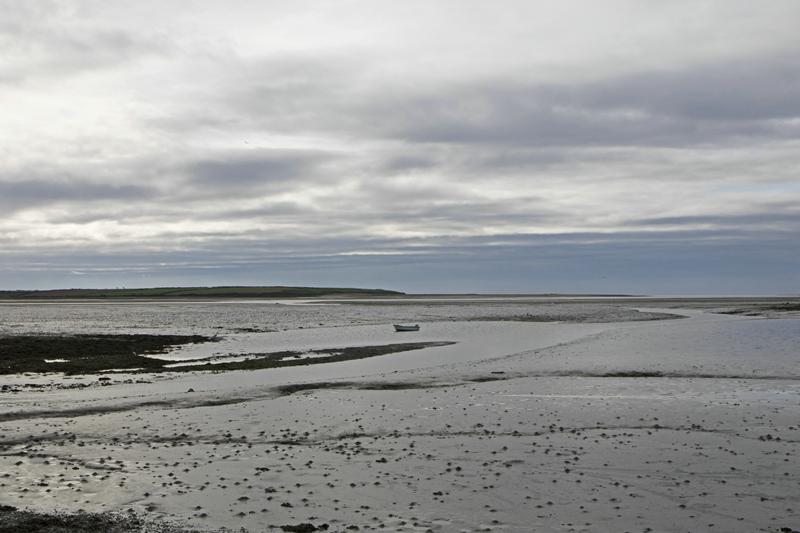 Cjp_2017-04-24_081636.jpg