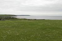 Cjp_2017-04-23_120134.jpg