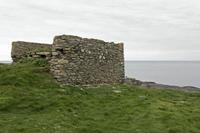 Cjp_2017-04-23_125924.jpg