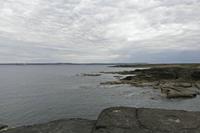Cjp_2017-04-23_130024.jpg