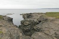 Cjp_2017-04-23_130236.jpg
