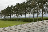 Cjp_2017-04-23_132132.jpg