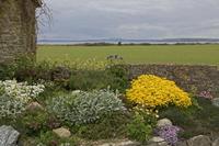 Cjp_2017-04-23_132308.jpg