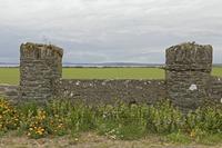 Cjp_2017-04-23_132324.jpg