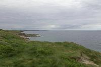 Cjp_2017-04-23_133416.jpg