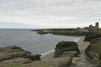 Cjp_2017-04-23_133438.jpg