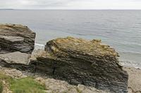 Cjp_2017-04-23_133518.jpg