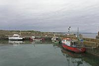 Cjp_2017-04-23_134142.jpg