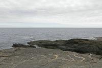 Cjp_2017-04-23_134956.jpg